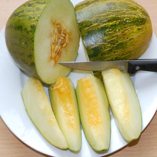 Piel De Sapo