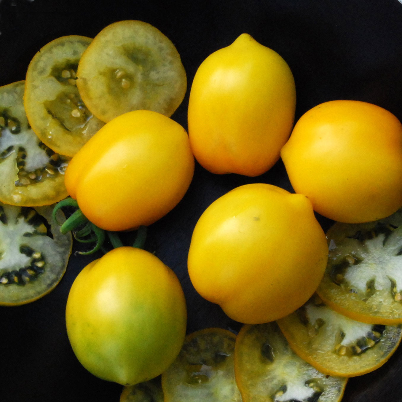 Plumlemon3