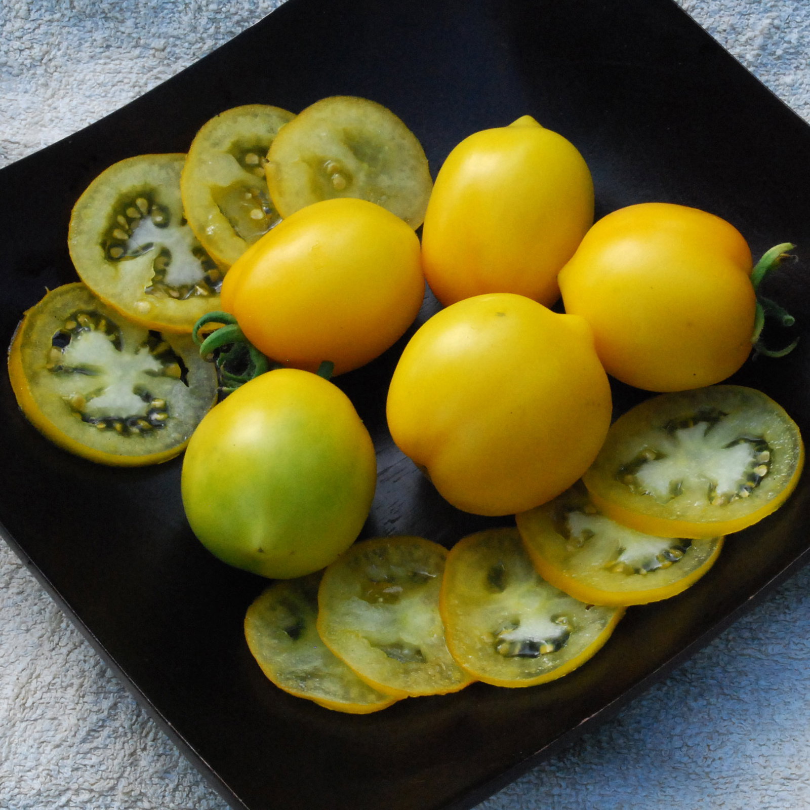 Plumlemon2