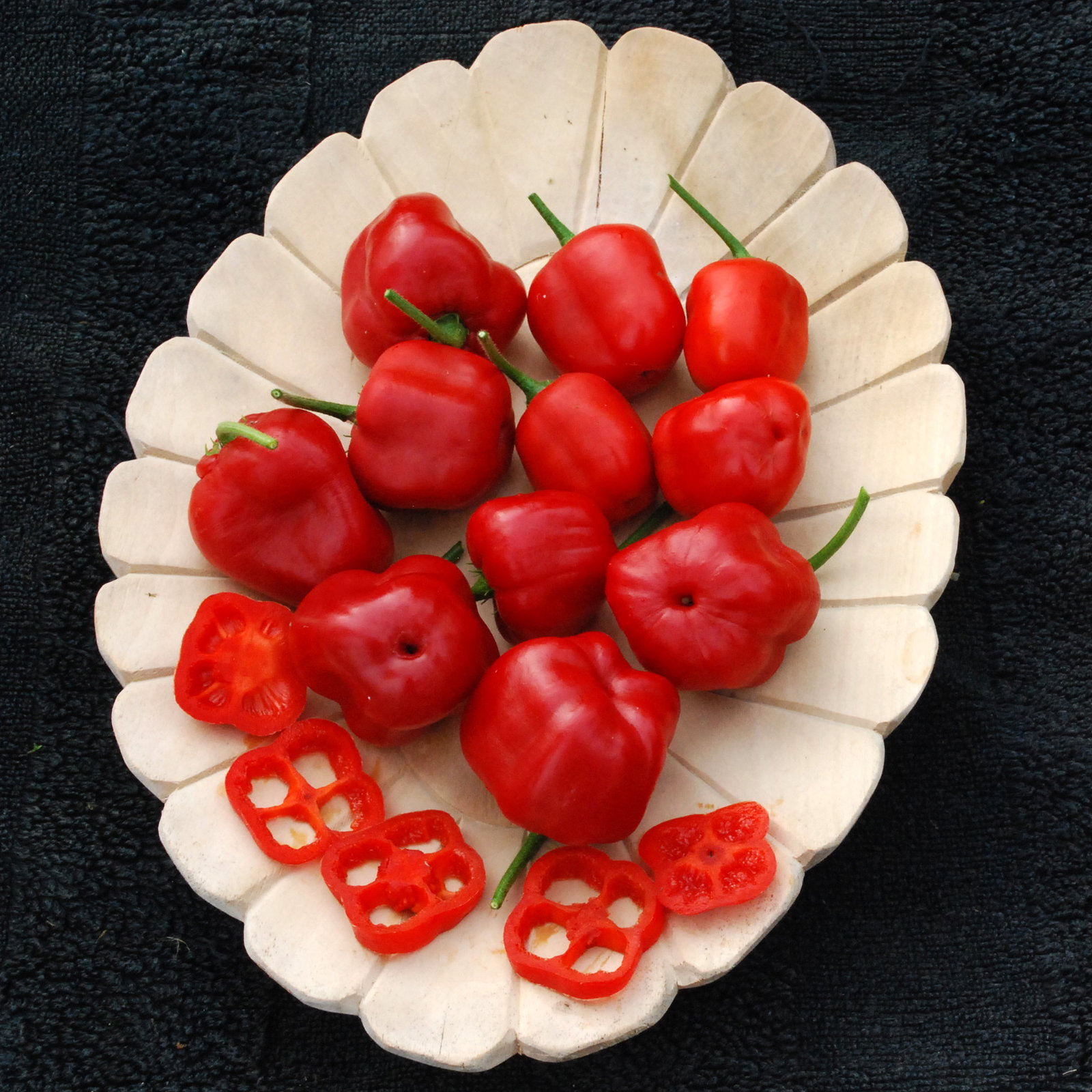 Red Ricotta Pepper