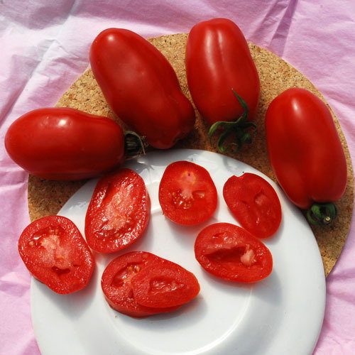 San Marzano