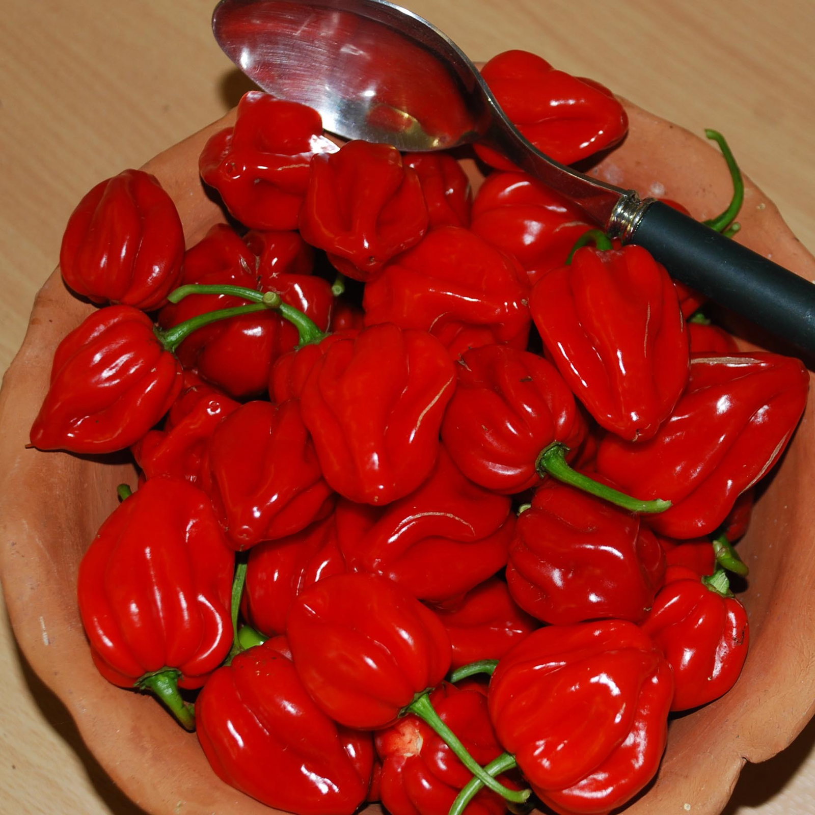 Scotch Bonnet Red