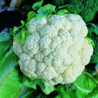 Cauliflower Snowball Kings