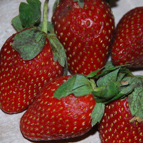 Strawberry Nice N Juicy