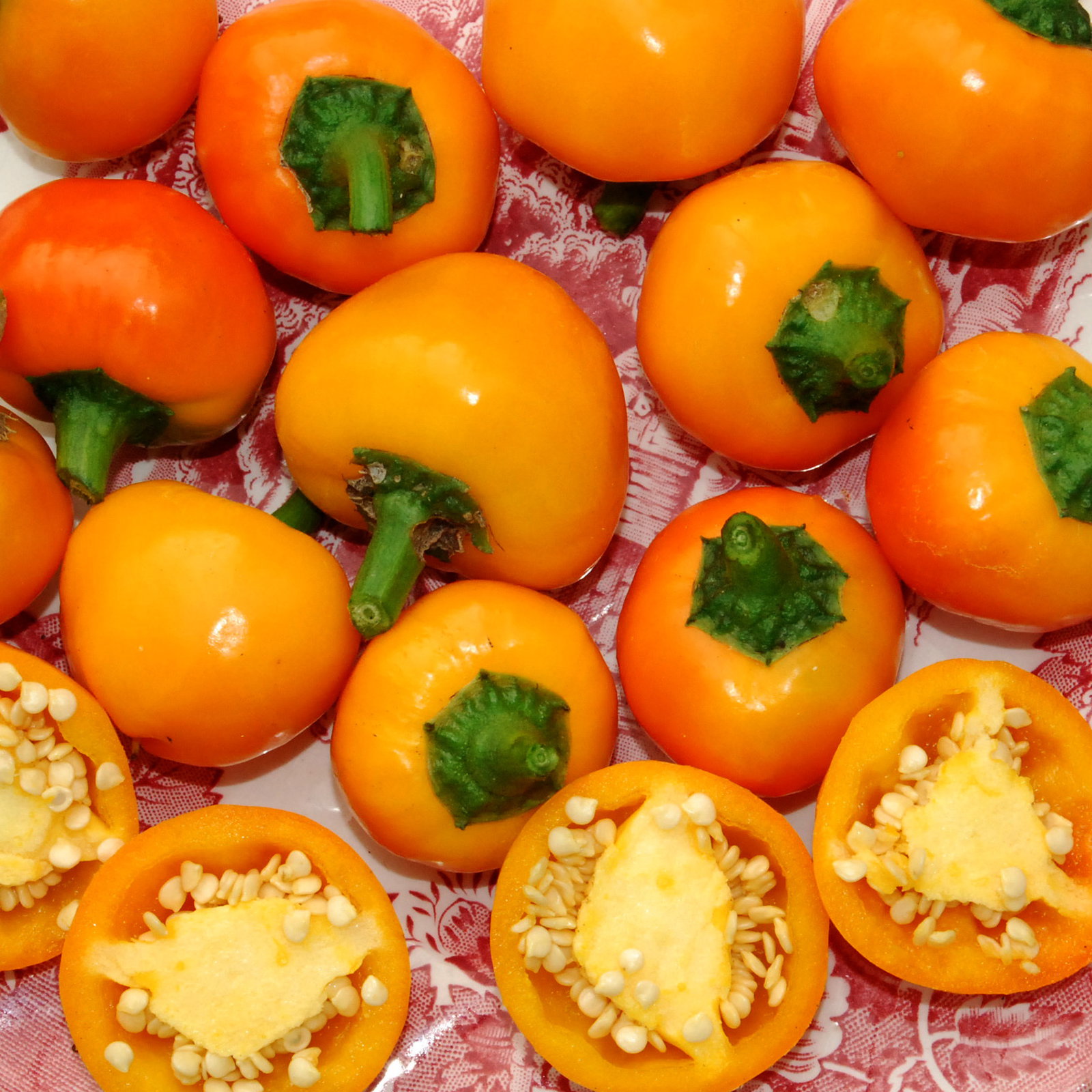 Yellow Stuffing Pepper1