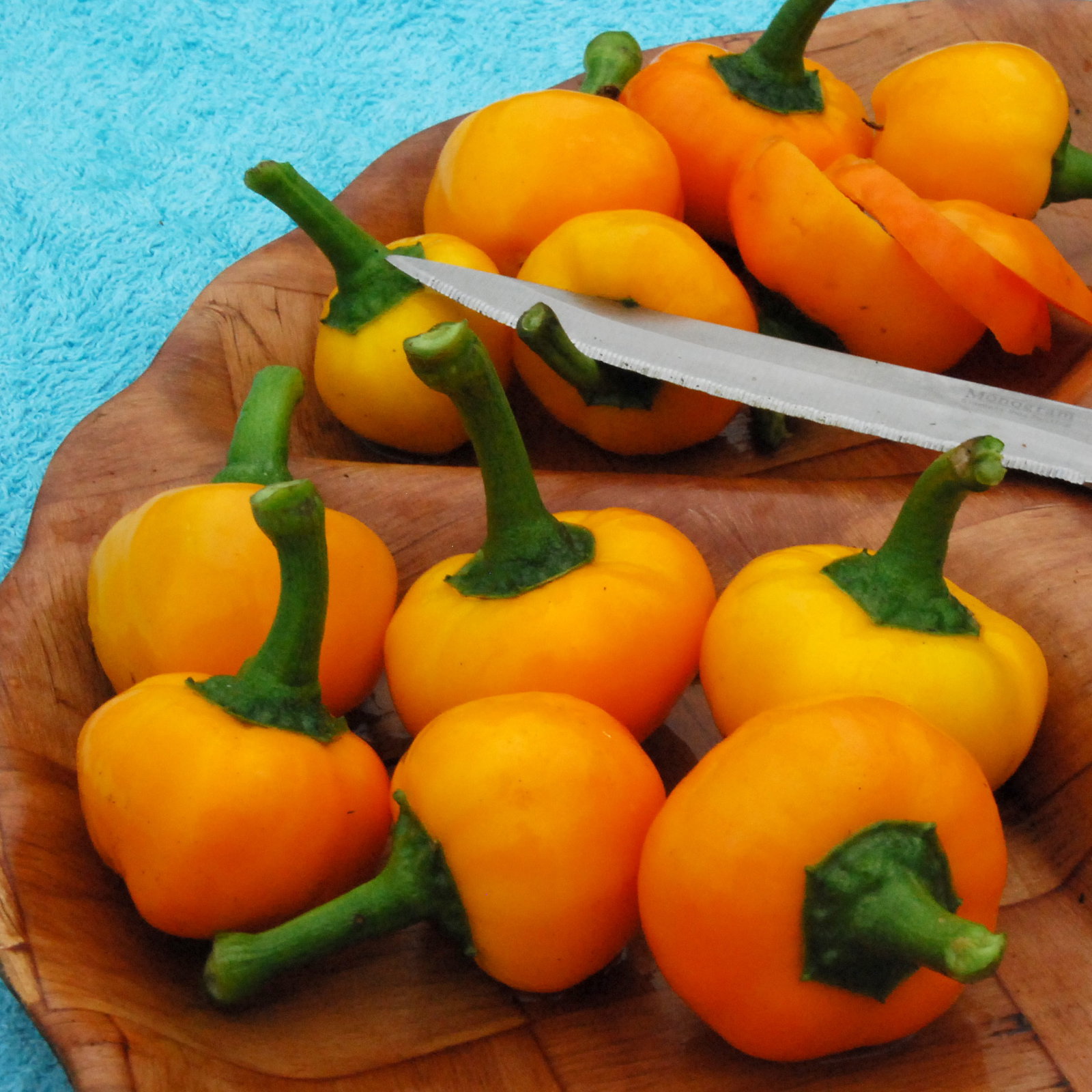 Yellowstuffingpepper4