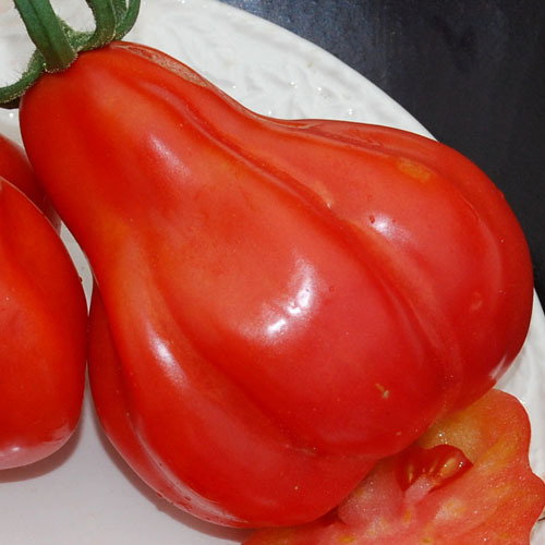 Tlacolula