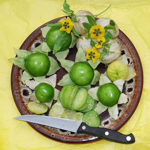 Tomatillo Verde
