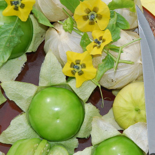 Tomatillo Verde