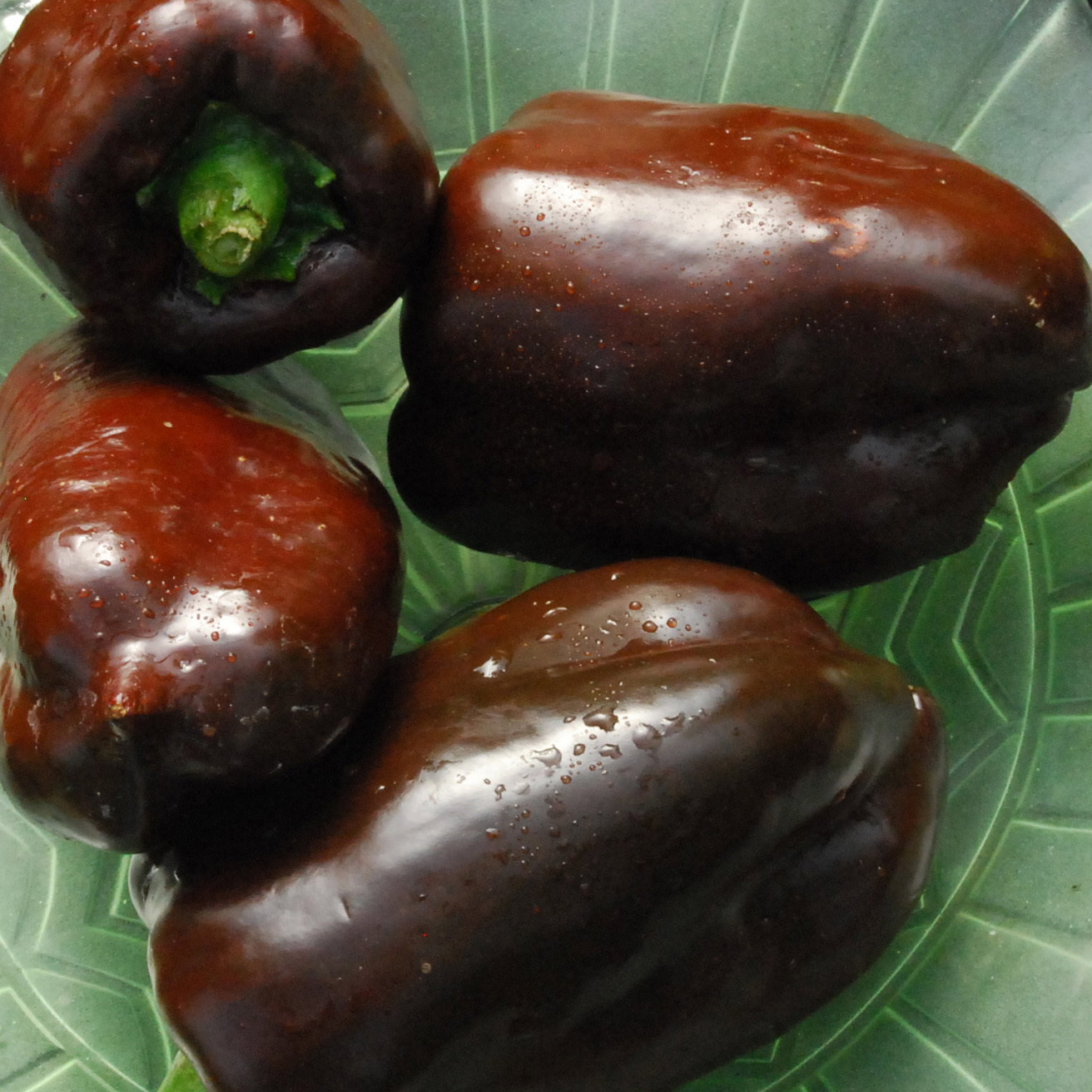 Auberginesweetchocolate1