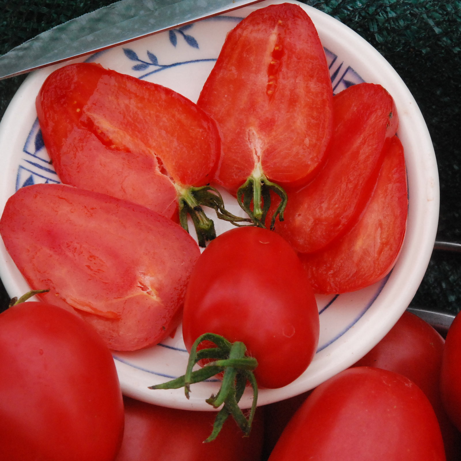 Germanredstrawberry5