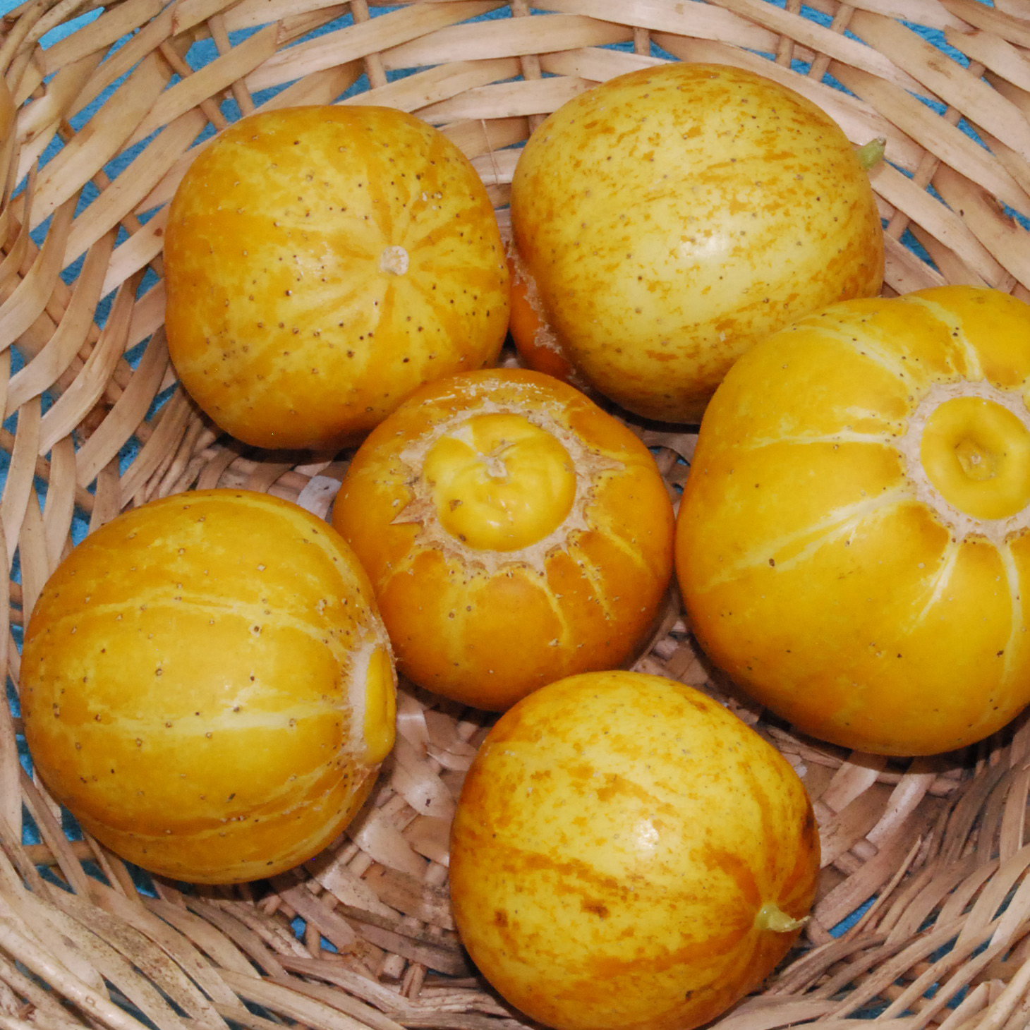 Lemoncuke01
