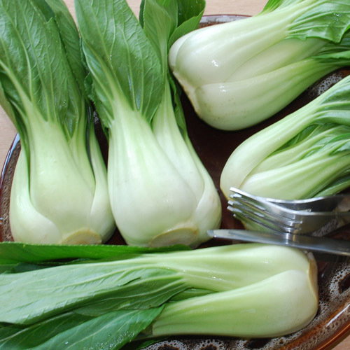 Pak Choi