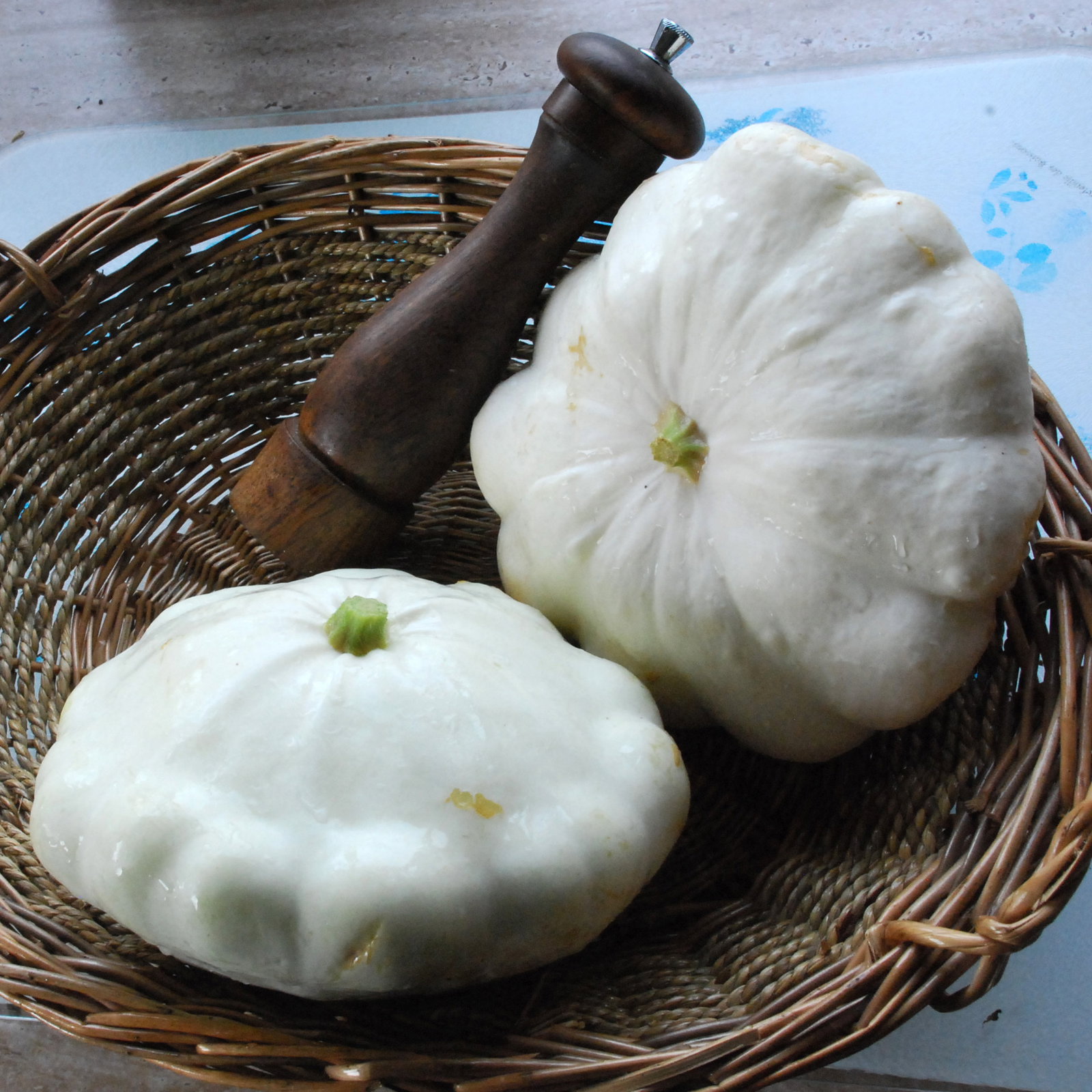Whitescallopwintersquash04