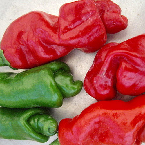 Peter Pepper
