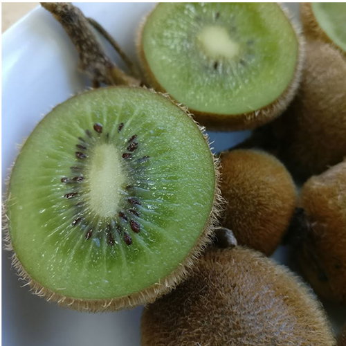 Kiwi Hem