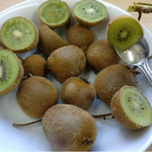 Kiwi Hem