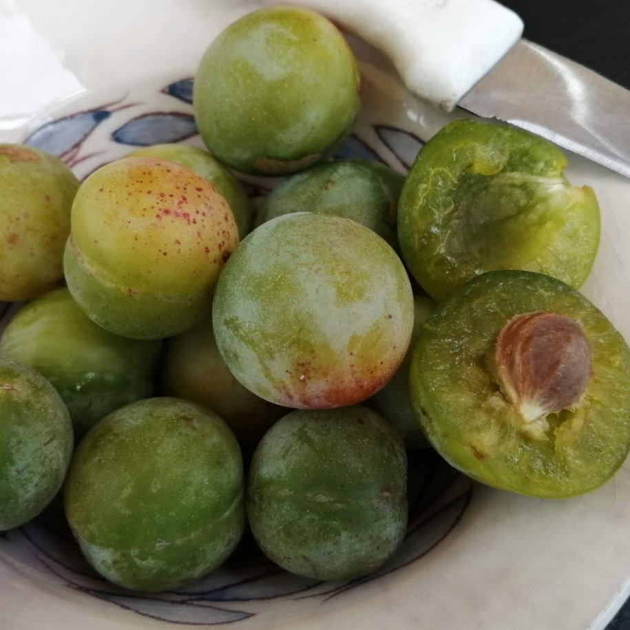 Bullace