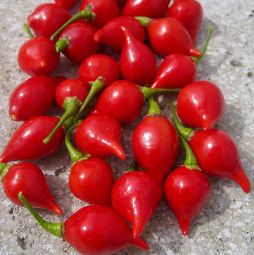 Button Red