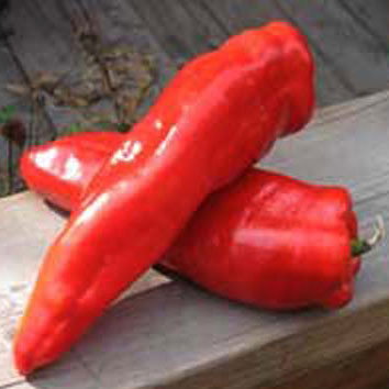 Red Marconi