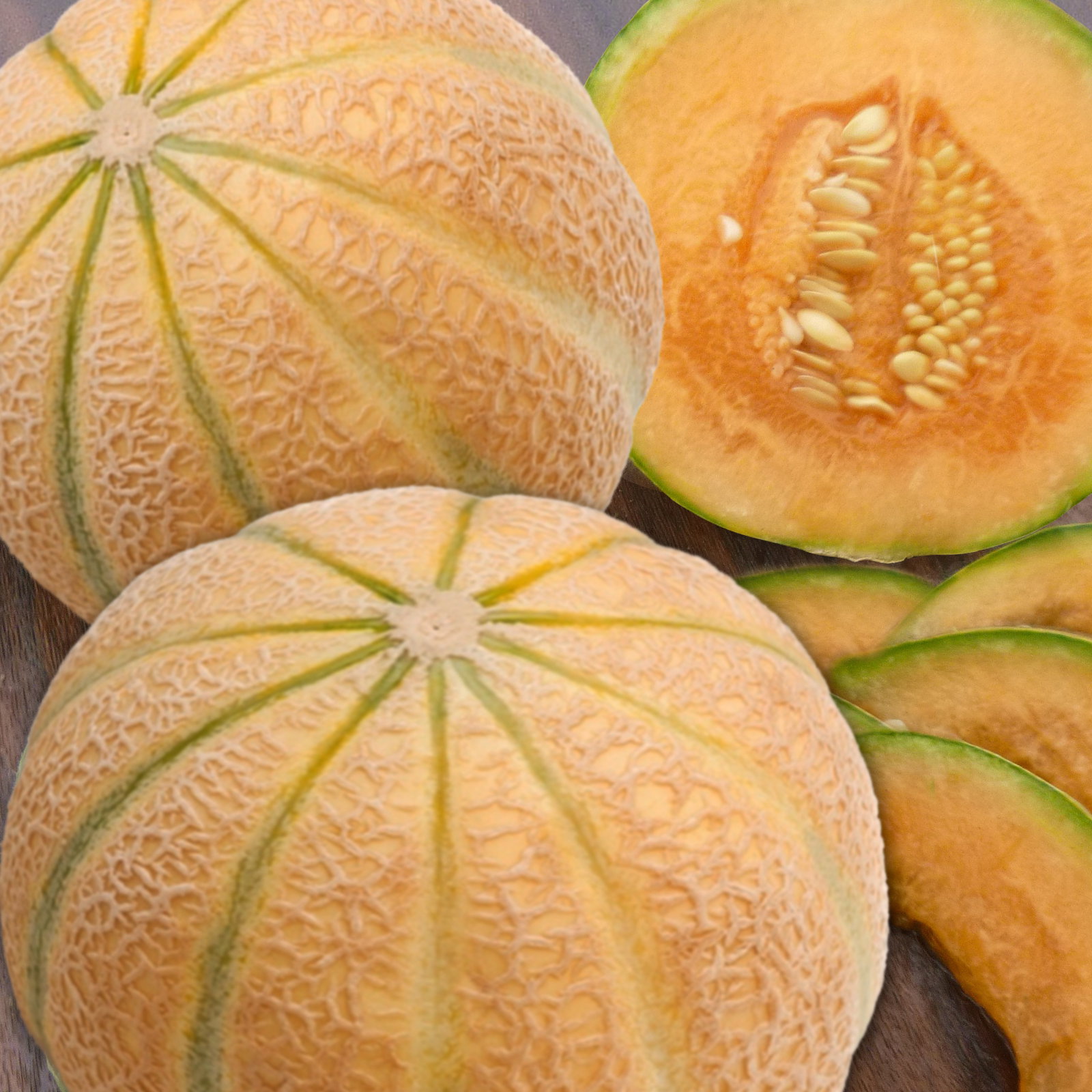 Melon Malaga F1 Legutko