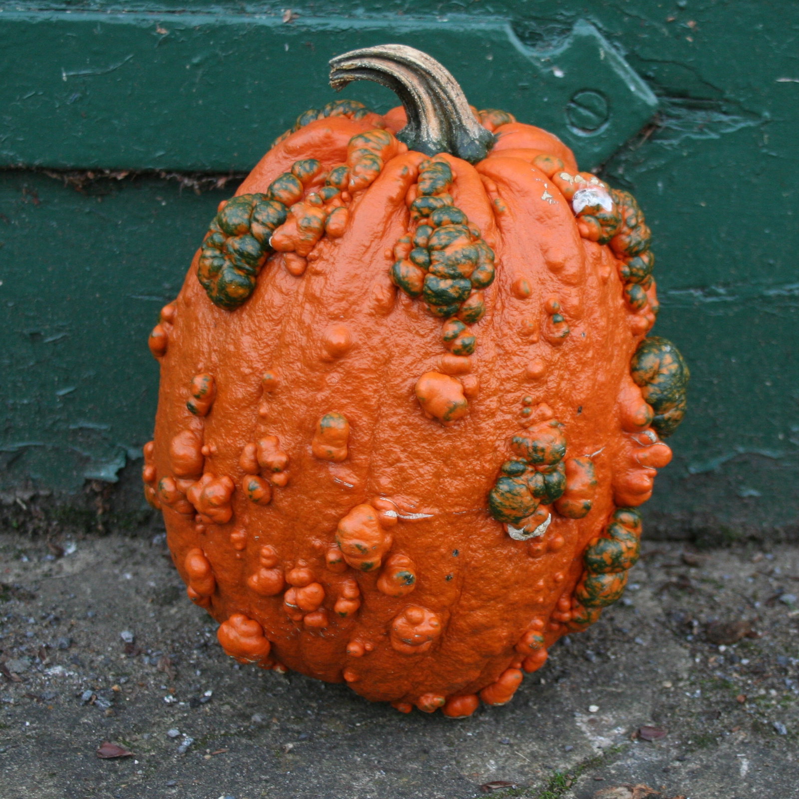 Pumpkin Goosebumps