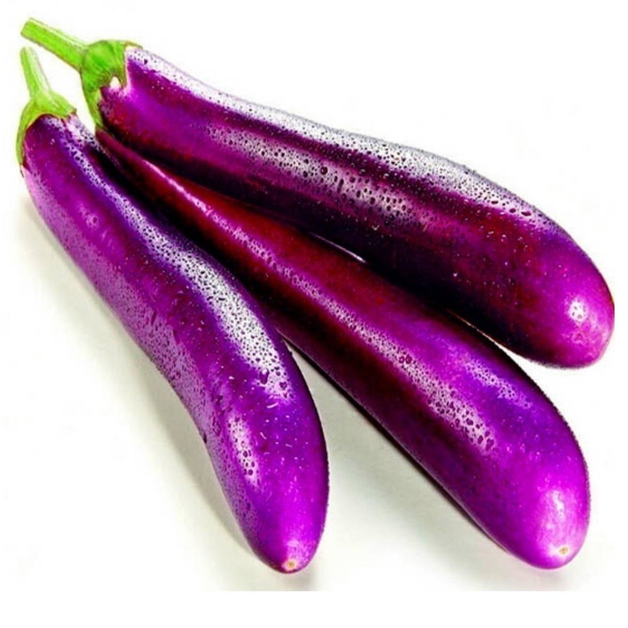 Aubergine Long Purple