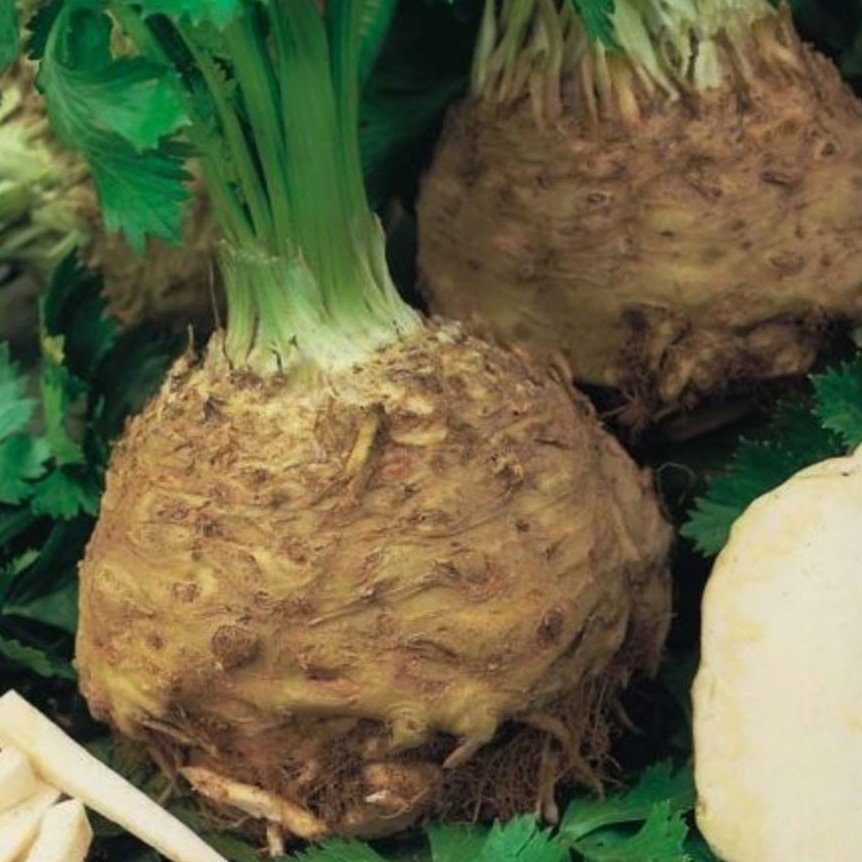 Celeriac Gaint Prague