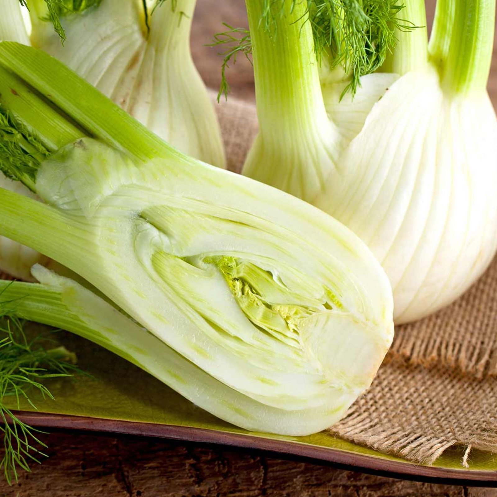 Fennel Sweet Florence