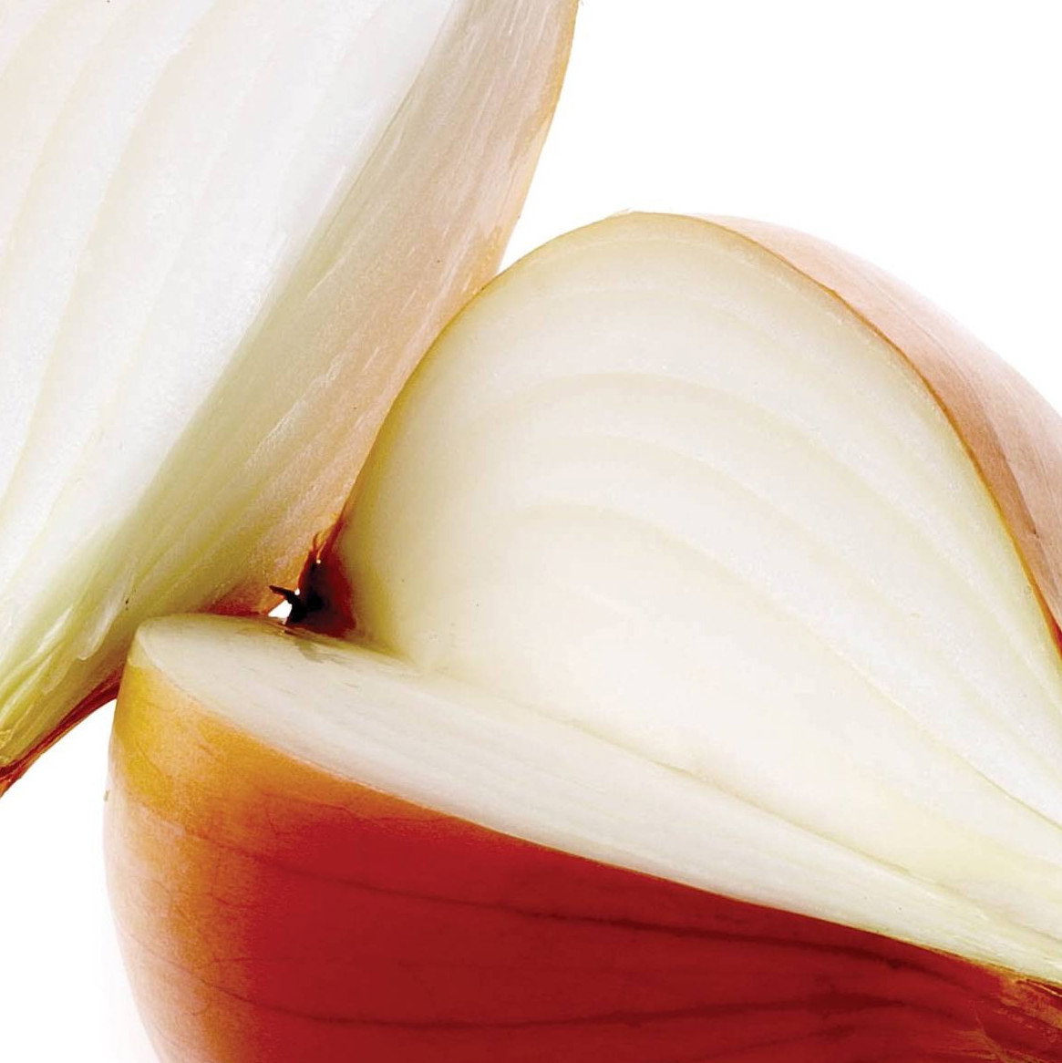 Onion Santero F1