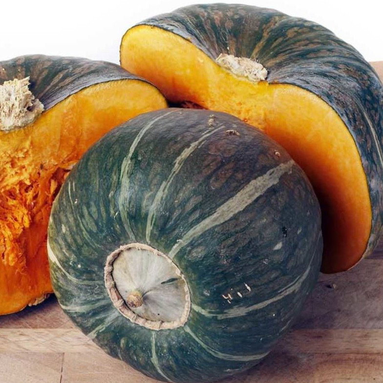 Winter Squash Kabocha F1
