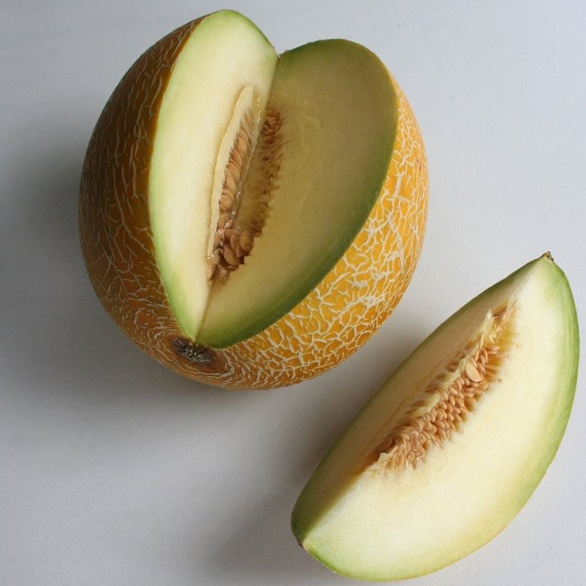 Melon Galia