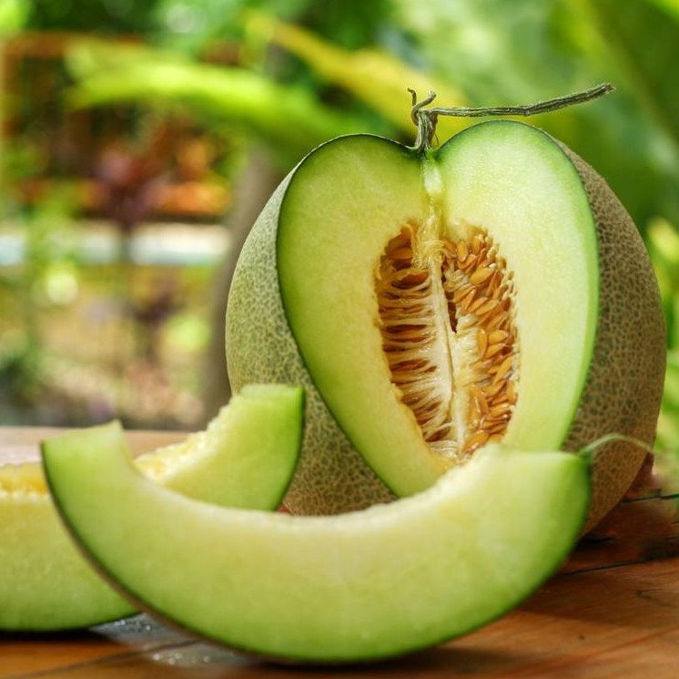 Melon Honey Dew