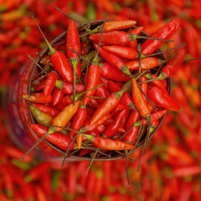 Pepper Bahian Sauce