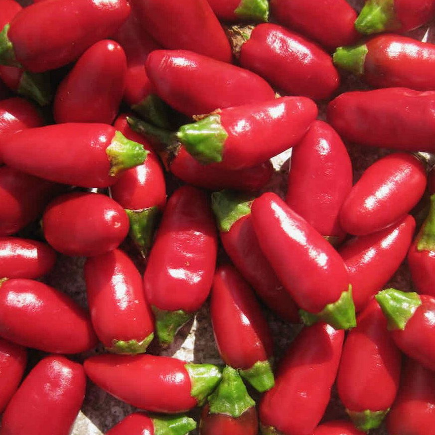 Pepper Fiery Flames