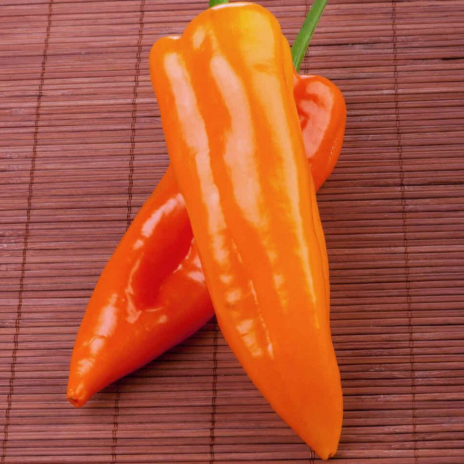 Pepper Orange Glow