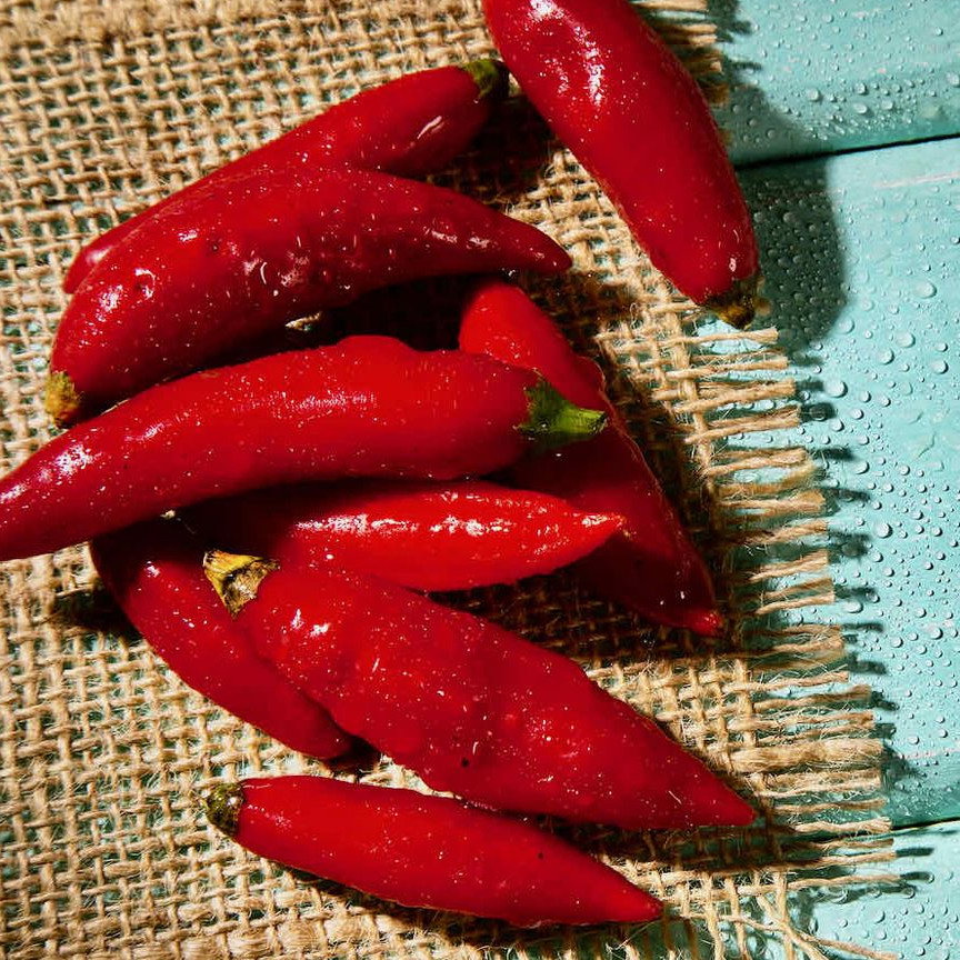 Pepper Red Glow