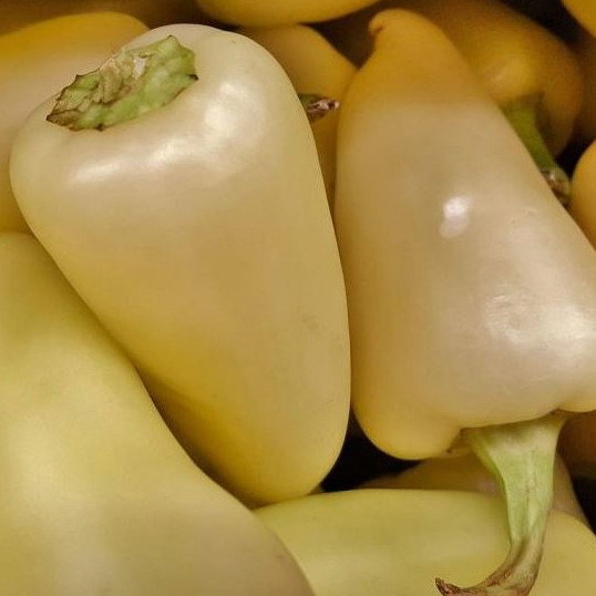 Pepper Caloro