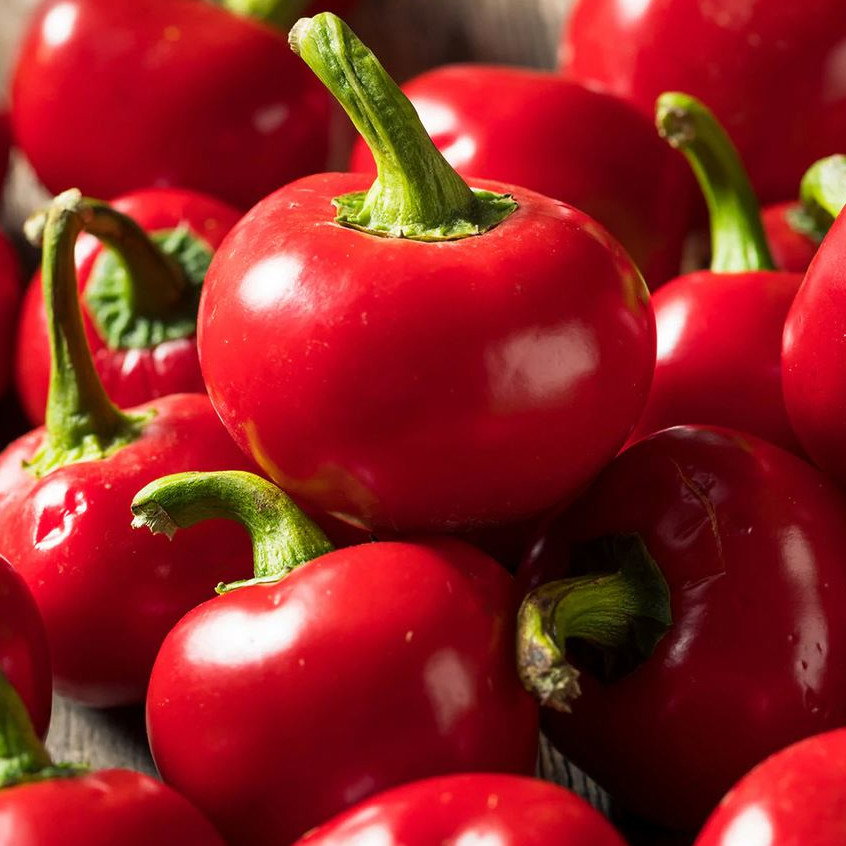 Pepper Cherry Bomb