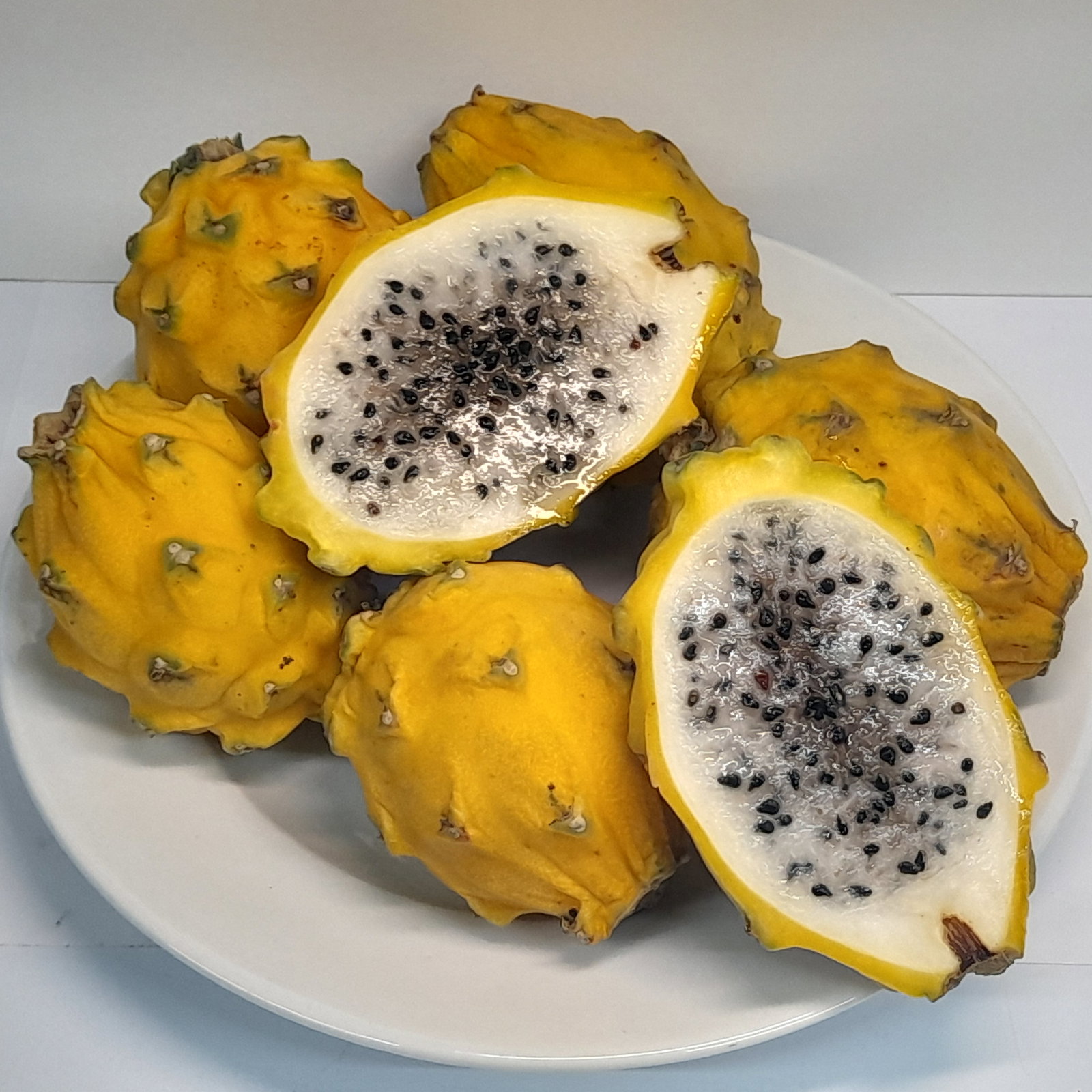 Dragon Fruit Yellow
