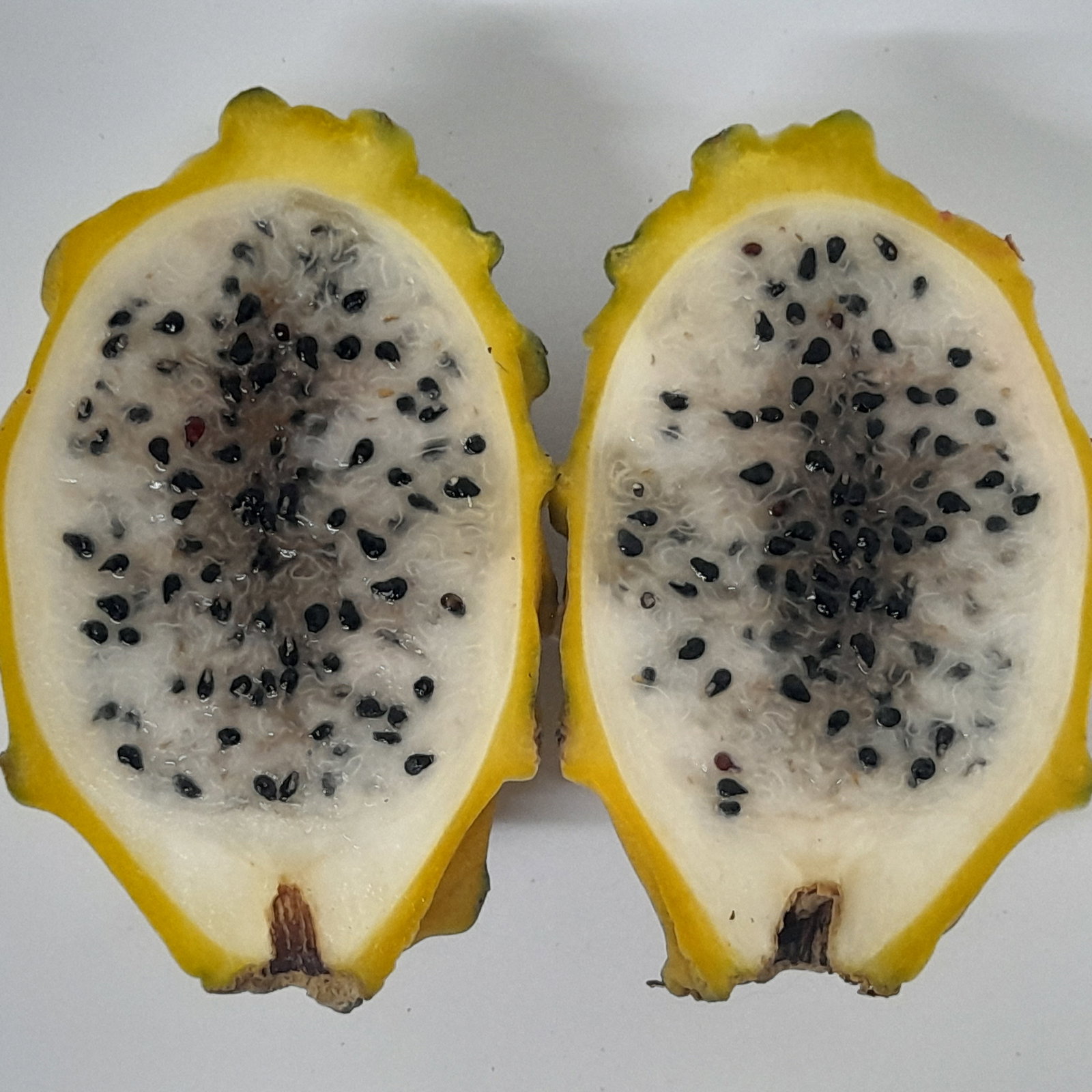 Dragon Fruit Yellow