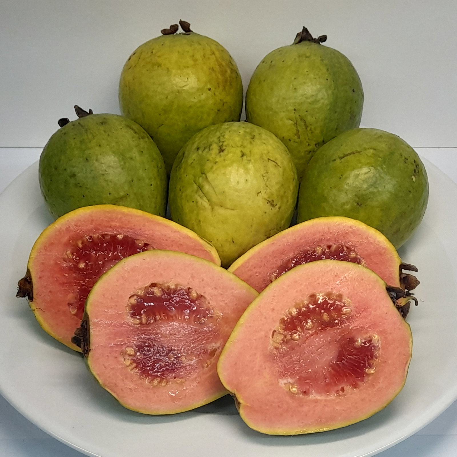 Guava Pink