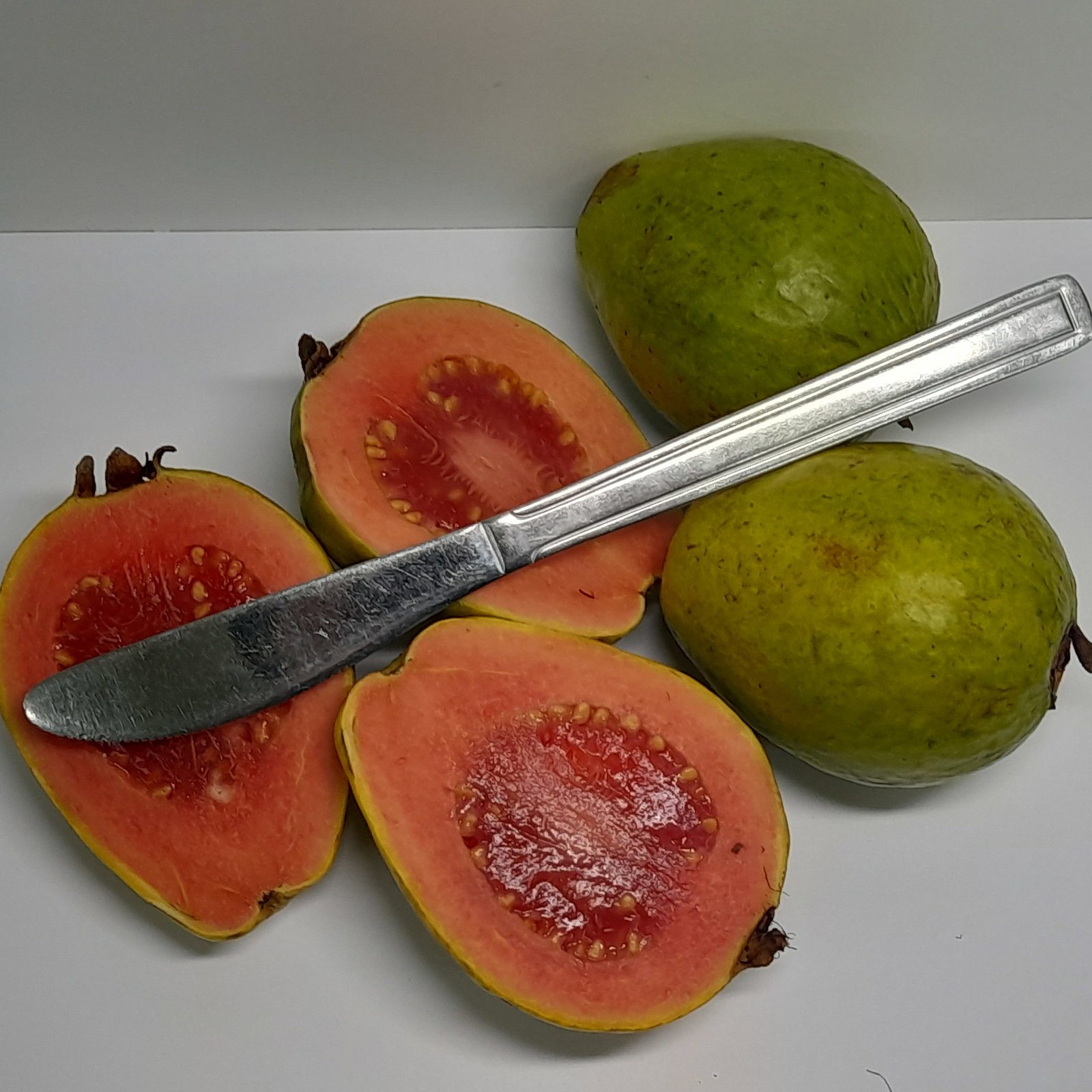 Guava Pink