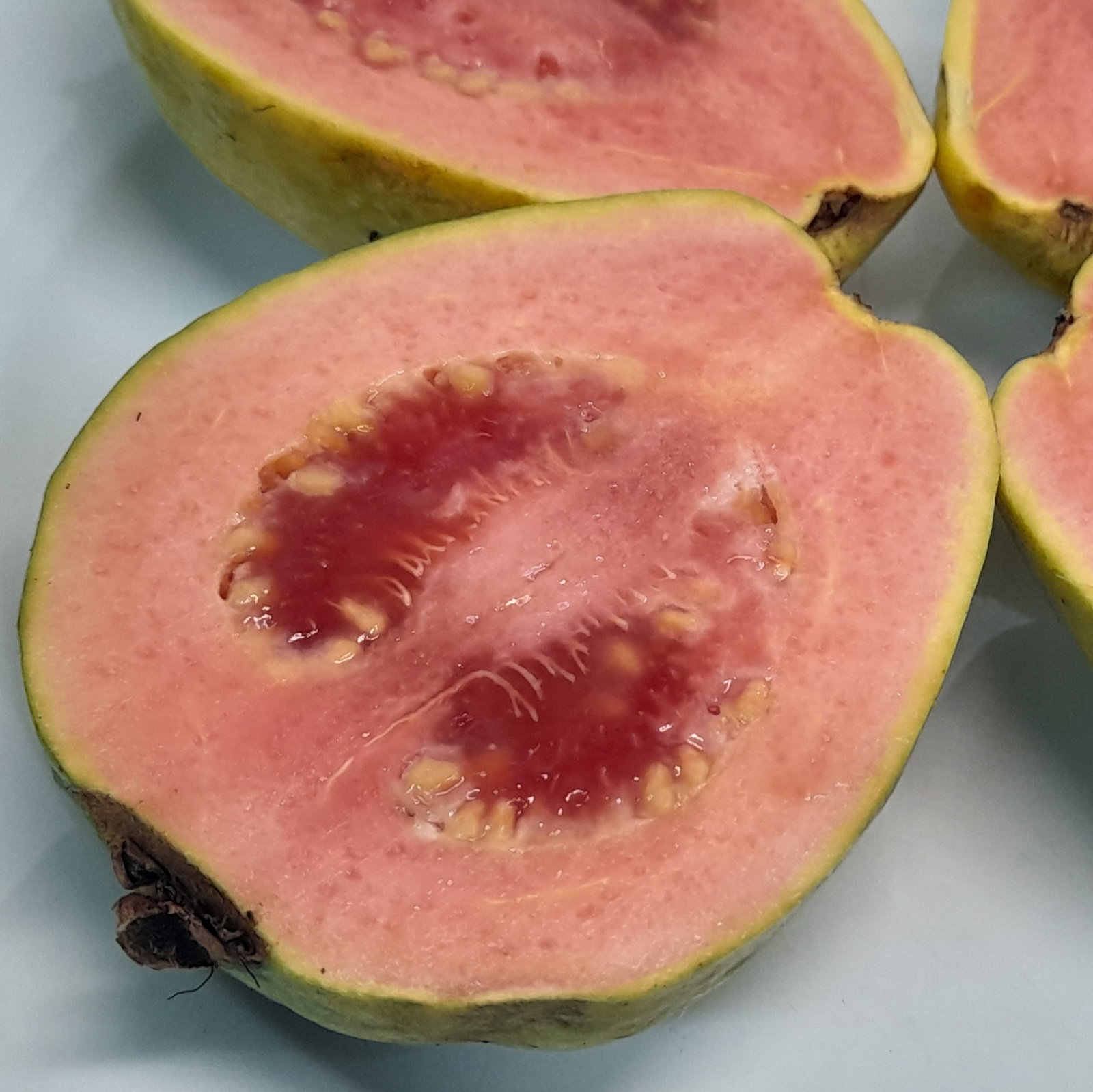 Guava Pink