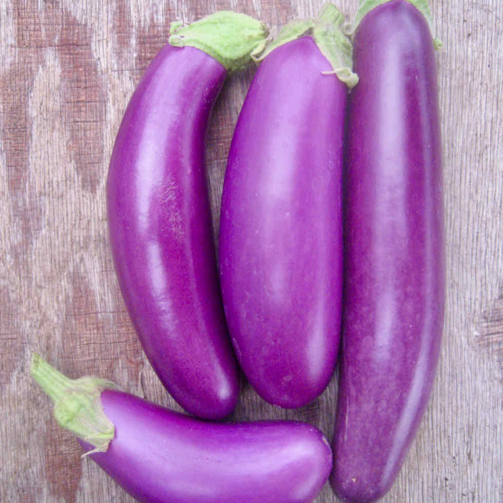 Eggplant Sausage Lilac F1