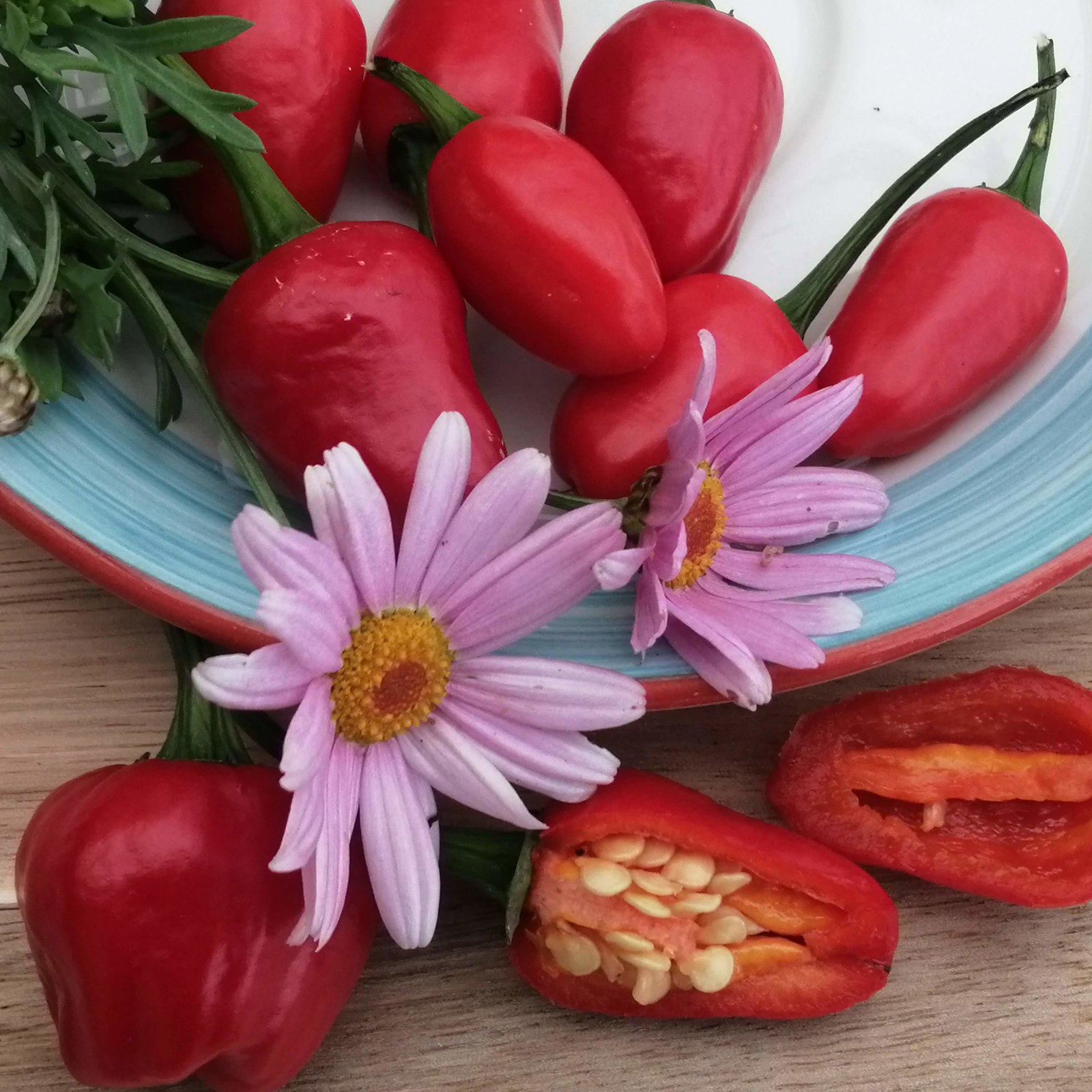 Pepper Akabare Khursani