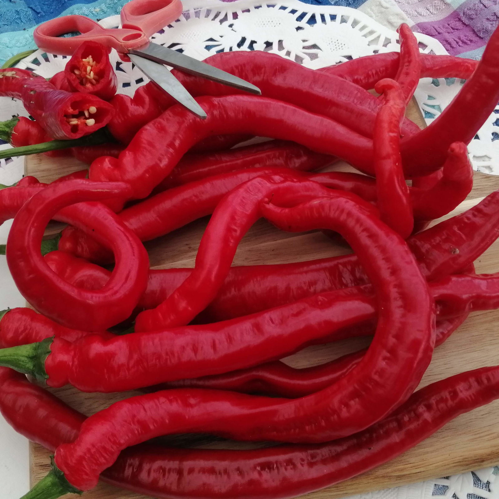 Pepper Big Jim