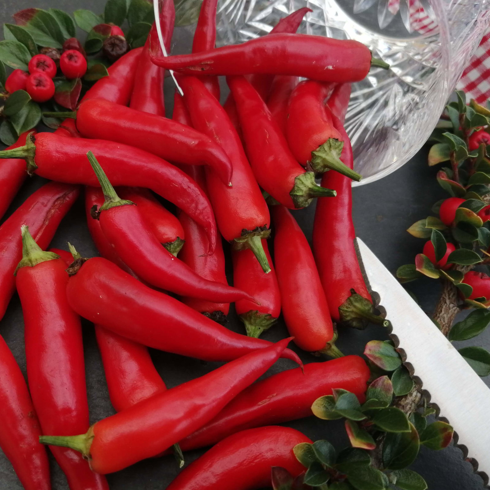 Pepper Eureka