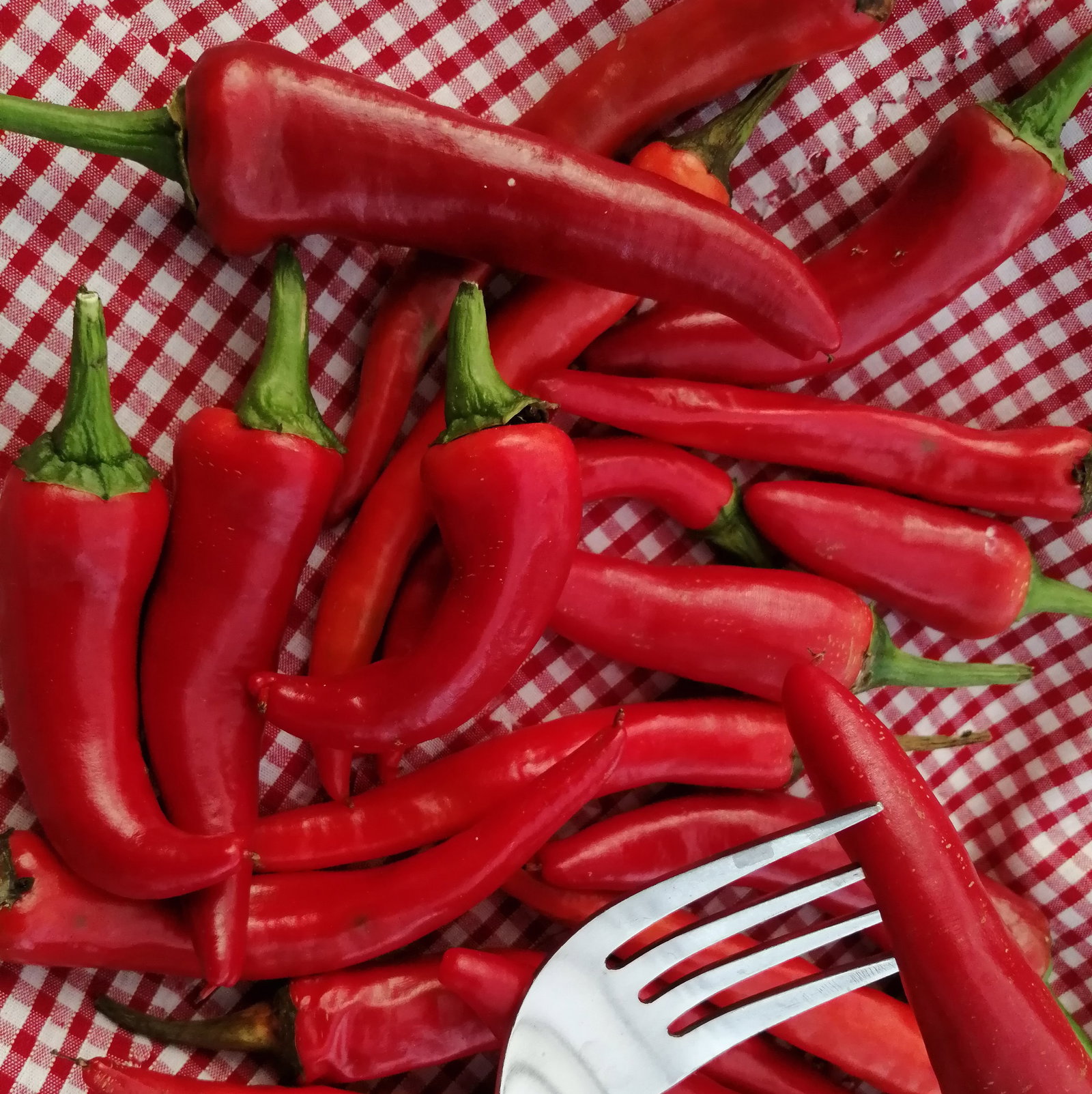 Pepper Nepal Snakebite