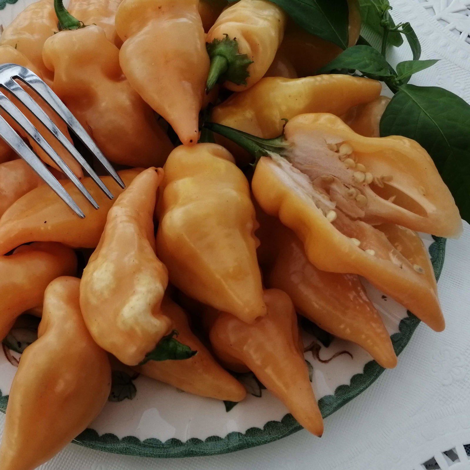 Pepper Sugar Rush Peach